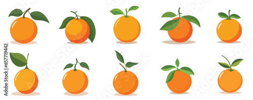 Set of orange fruits vector illustration design isolated on white background  whole orange fruit with leaves