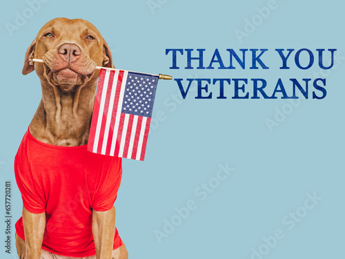 Thank You Veterans. Lovable brown dog, American Flag and congratulatory inscription. Closeup, indoors. Studio shot. Congratulations for family, relatives, loved ones, friends and colleagues