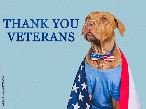 Thank You Veterans. Lovable brown dog, American Flag and congratulatory inscription. Closeup, indoors. Studio shot. Congratulations for family, relatives, loved ones, friends and colleagues