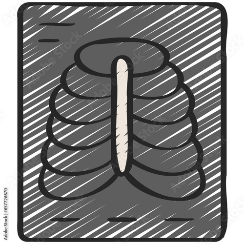 Rib Xray Icon