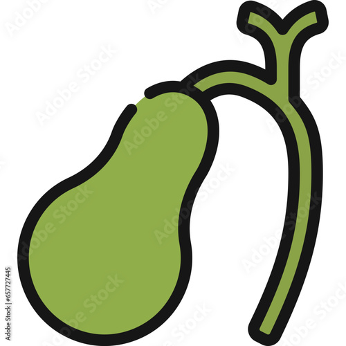 Gallbladder Icon