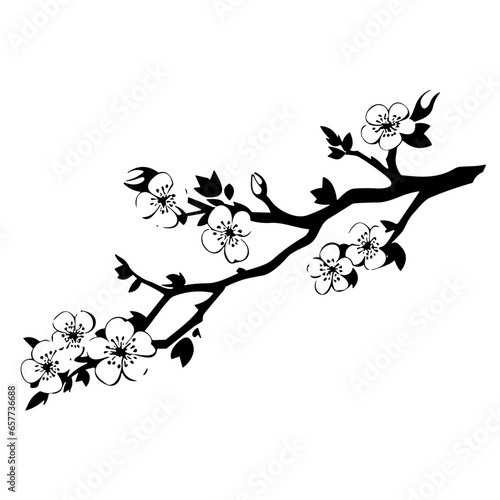 Cherry Blossom Branch black and white background with flowers