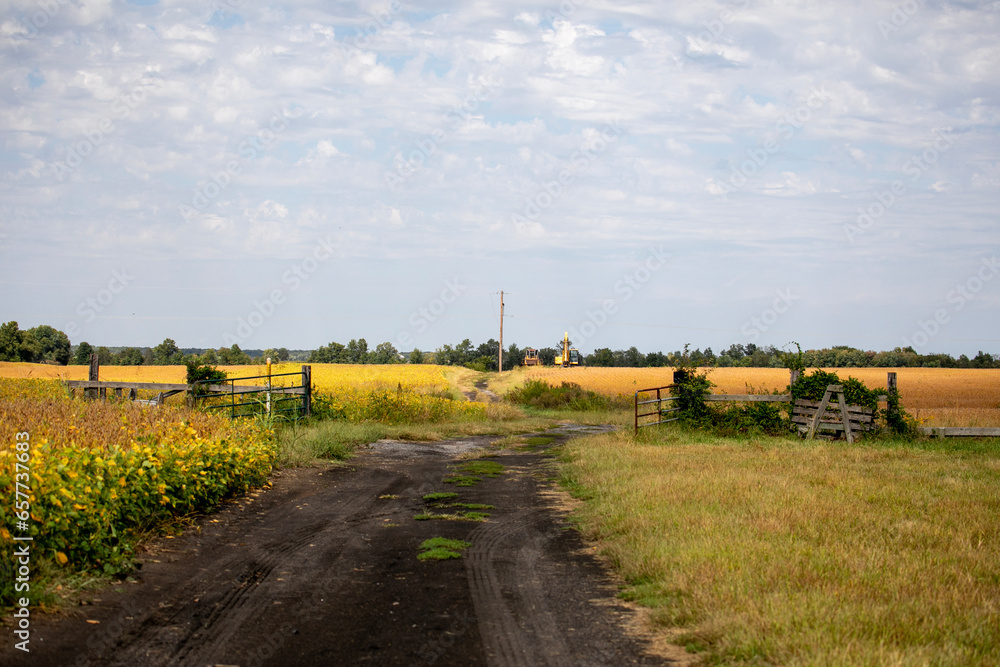 Obraz premium Farm life on a small family farm