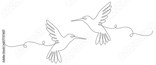 Hummingbird line art style