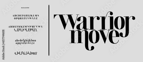 Elegant Font Uppercase Lowercase and Number. Classic Lettering Minimal Fashion Designs. Typography modern serif fonts regular decorative vintage concept. vector illustration