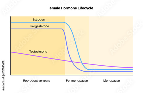 Hormones in pregnancy