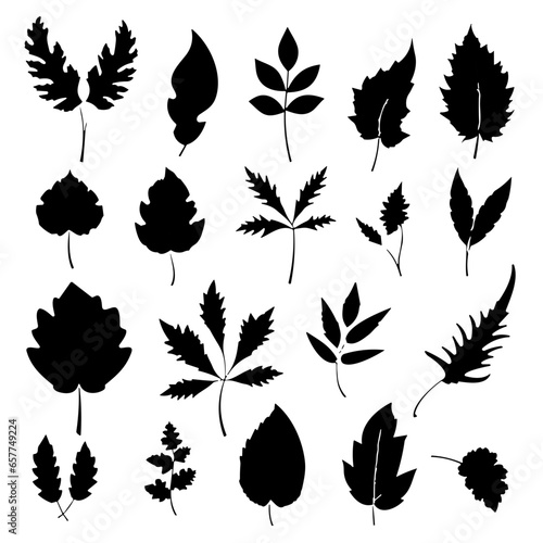 set of black silhouettes of leaves