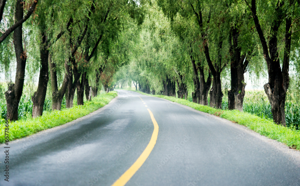 Asphalt road through green field in summer day Asphalt road through green field in summer day