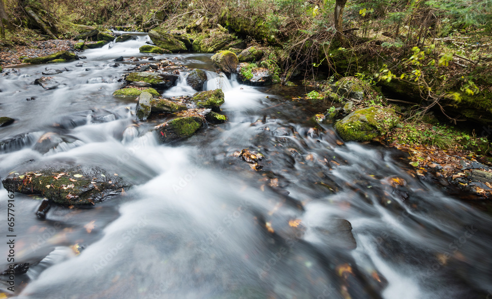 Mossy rocks in stream with smooth flowing water