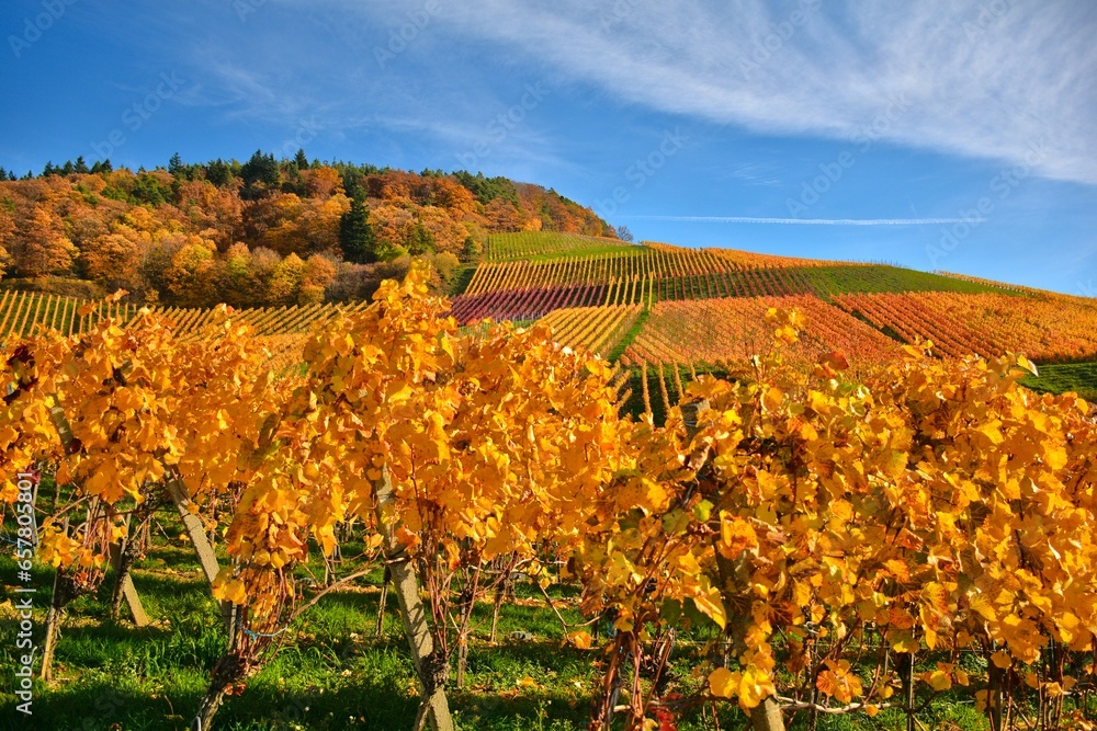 Naklejka premium autumn in the mountains