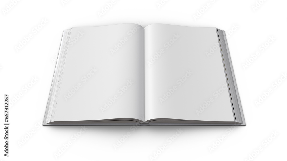 빈 페이지 책 Empty Page Book 빈 페이지 책 Empty Page Book
