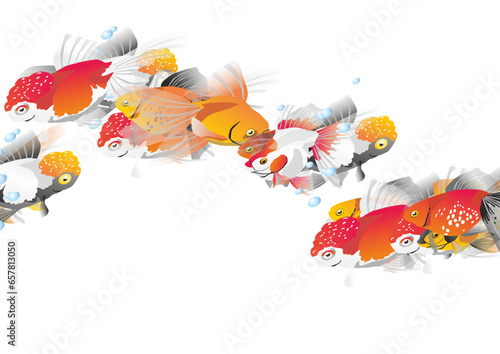 ryby woda akwarium morze © Marek