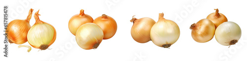 Vidalia onions Vegetable Hyperrealistic Highly Detailed Isolated On Plain White Background