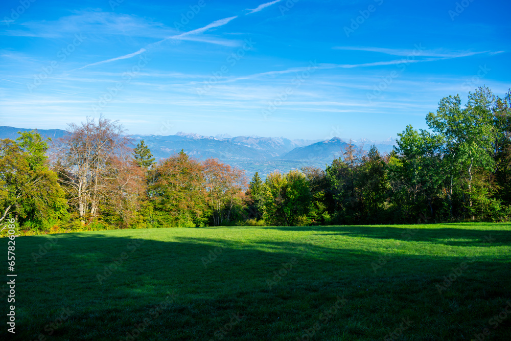 landscape with trees