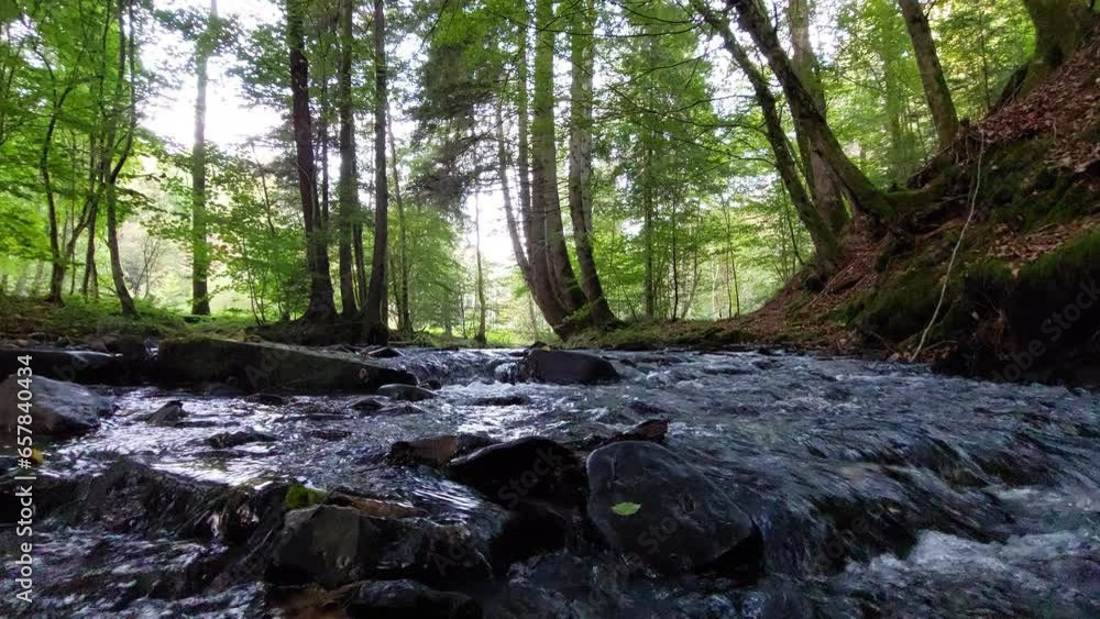Bach im Wald, Neckar-Odenwald-Kreis, Baden Württemberg, Germany Bach im Wald, Neckar-Odenwald-Kreis, Baden Württemberg, Germany
