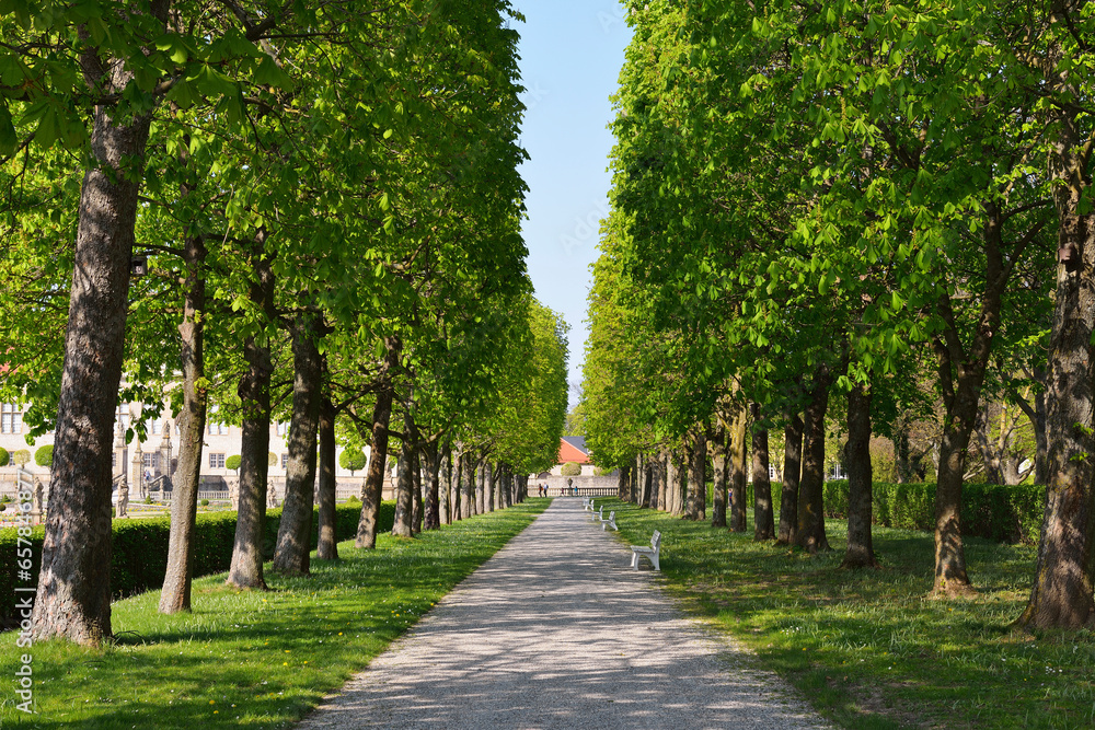 Chestnut Tree Avenue in Spring, Castle Park, Weikersheim, Baden-Wurttemberg, Germany Chestnut Tree Avenue in Spring, Castle Park, Weikersheim, Baden-Wurttemberg, Germany