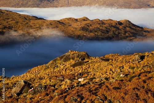 County Kerry, Ireland; Fog In The Valley At Molls Gap Near Killarney photo