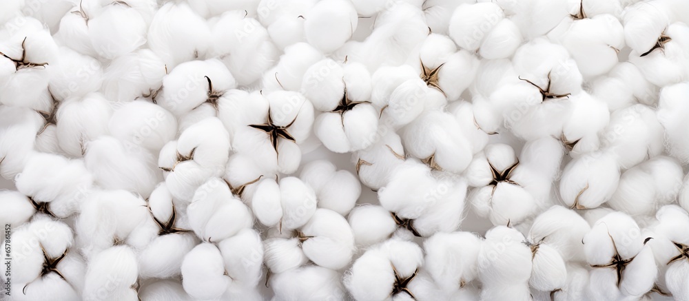 Seamless background of white cotton pattern Seamless background of white cotton pattern