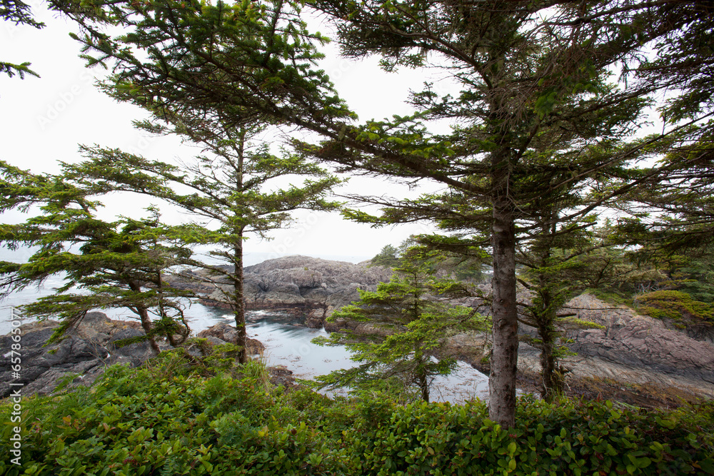 The Scenery Along The Wild Pacific Trail On Vancouver Island; Ucluelet, British Columbia, Canada The Scenery Along The Wild Pacific Trail On Vancouver Island; Ucluelet, British Columbia, Canada