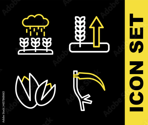 Set line Wheat, Scythe, Pistachio nuts and Plant sprouts grow in rain icon. Vector