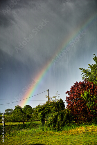 rainbow over the garden