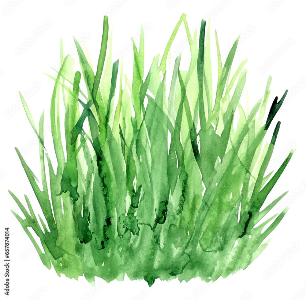 Obraz premium Trawa ilustracja