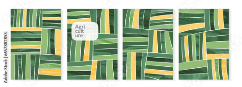 Abstract wineyard farm field pattern vector illustration. Vineyard green landscape with texture. Set of vine valley poster. Viticulture vintage background. Eco card clipart, organic farmland view