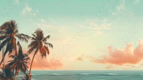 The Sky Behind Palm Trees  Immersed in Vintage Aesthetics  Eliciting Nostalgia