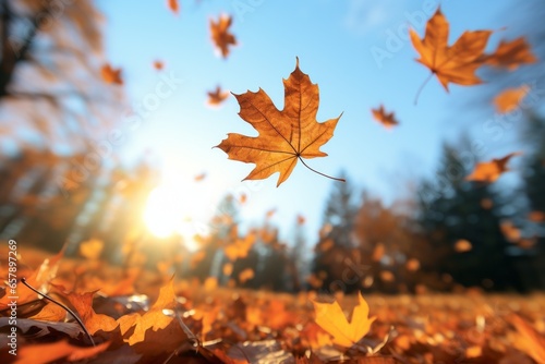 Fallen autumn leaves. Background with selective focus and copy space