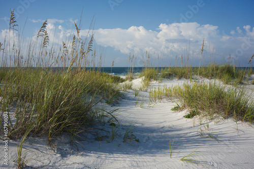 Rosy Dawn in the Sand Dunes at Pensacola Beach