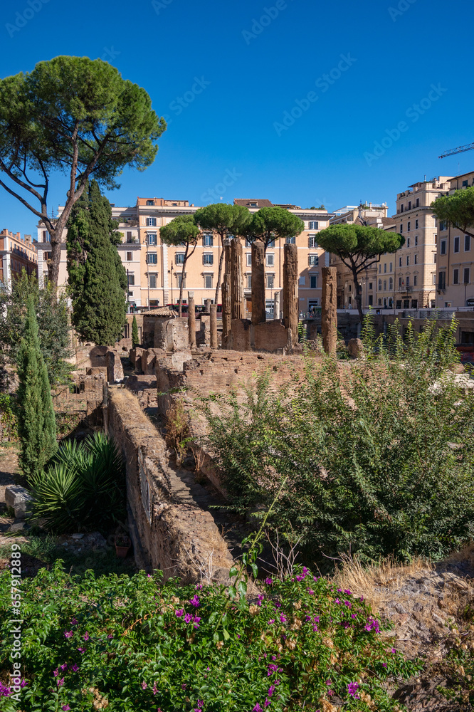 Fototapeta premium Scenic Rome, Italy.