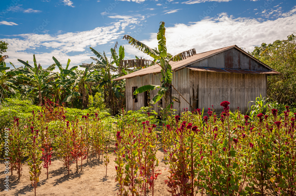 Building along the Amazon in Peru. Building along the Amazon in Peru.