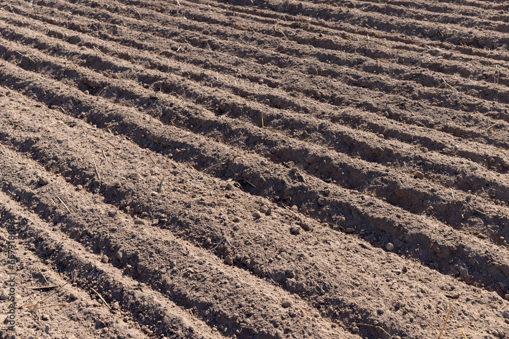 plowed soil in a field during preparation for sowing plowed soil in a field during preparation for sowing