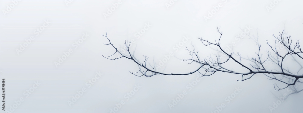 frost-covered tree branches against a muted, overcast sky