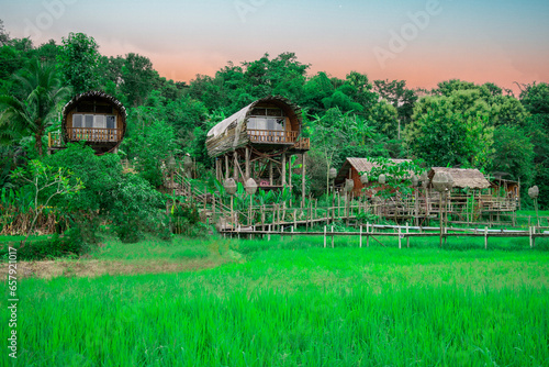 Homestay in the forest House made of bamboo at  Chiang Dao District, Chiang Mai Province, Thailand. photo