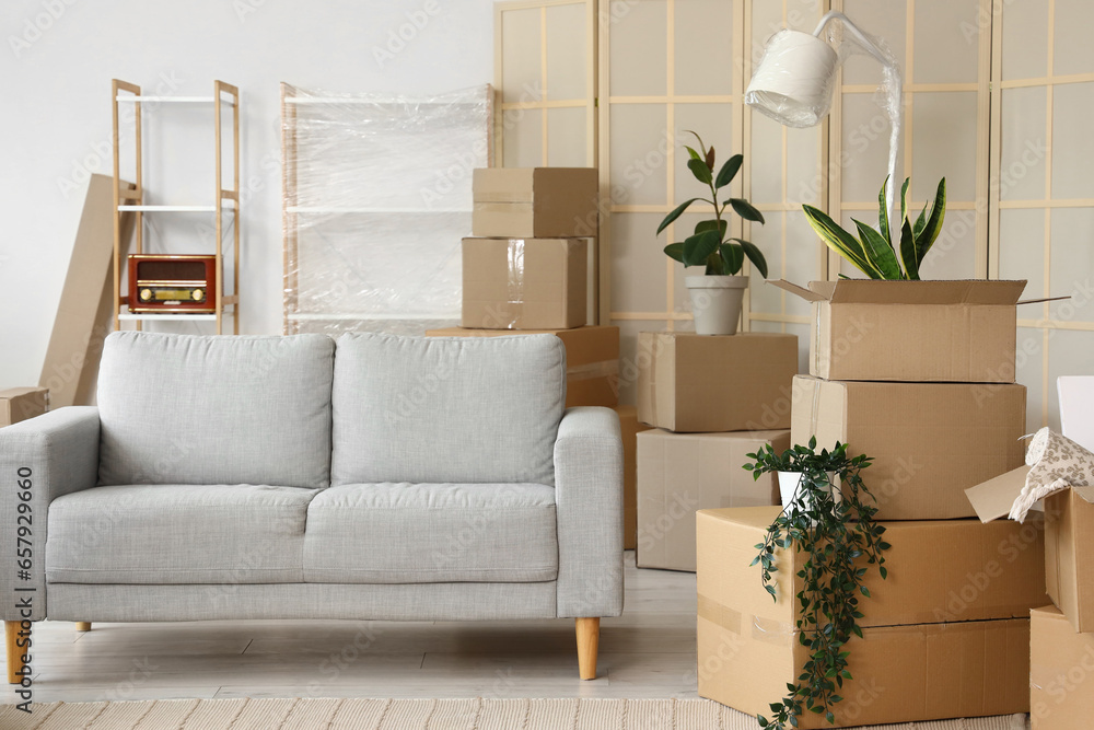 Cardboard boxes with houseplants and lamp in living room on moving day Cardboard boxes with houseplants and lamp in living room on moving day