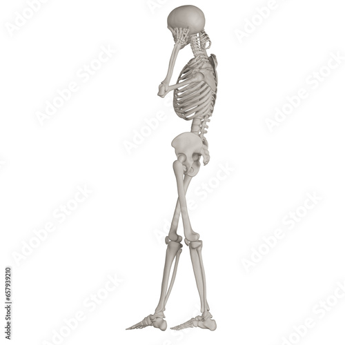 skeleton posing 3d render illustration with transparent background