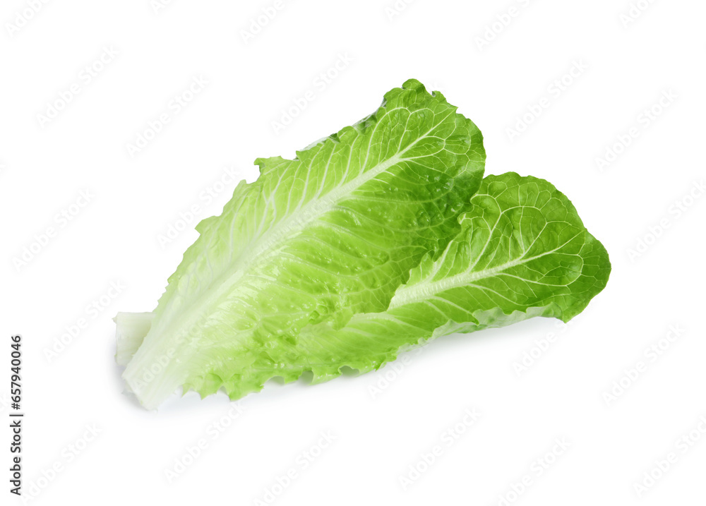 Fresh green leaves of romaine lettuce isolated on white Fresh green leaves of romaine lettuce isolated on white