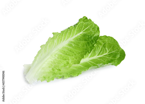 Fresh green leaves of romaine lettuce isolated on white