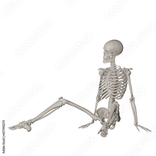 skeleton posing 3d render illustration with transparent background