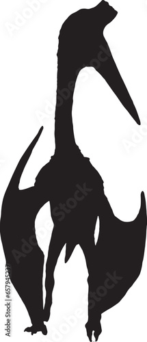 Pterosaur black silhouette isolated background