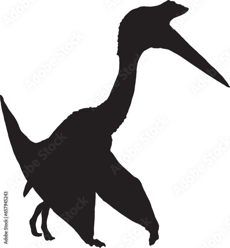 Pterosaur black silhouette isolated background