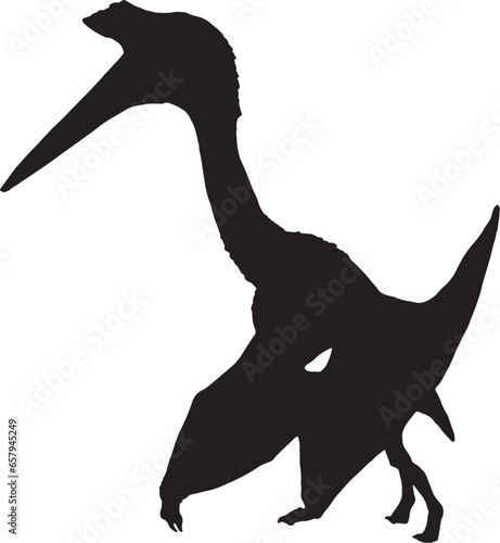 Pterosaur black silhouette isolated background