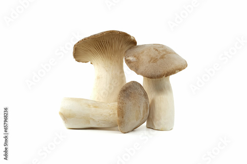 Eryngi mushroom isolated on white background