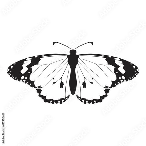 butterfly black and white silhouette SVG