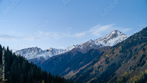 autumn in the foothills. snowy mountain peaks. forest at the foot of the mountains