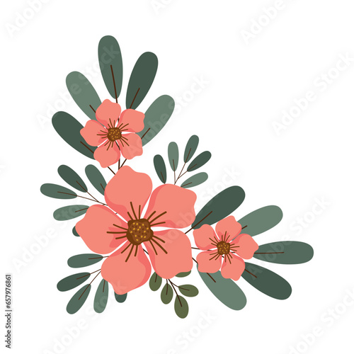 corner frame flowers plants