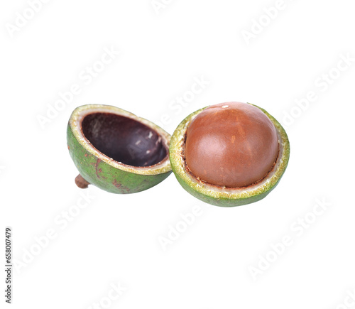 macadamia nuts transparent png