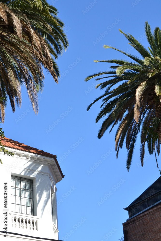 sky of a hot country cityscape with a palm tree and an element of colonial architecture Argentina