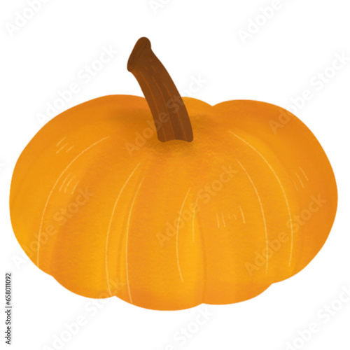Thanks giving season pumpkin 